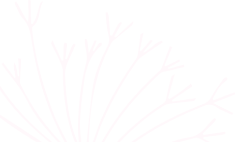 Paardebloem kop